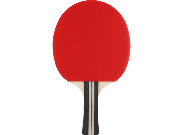 FZ Amaze TT 3-star Racket Bordtennisracket - Litt Øvet