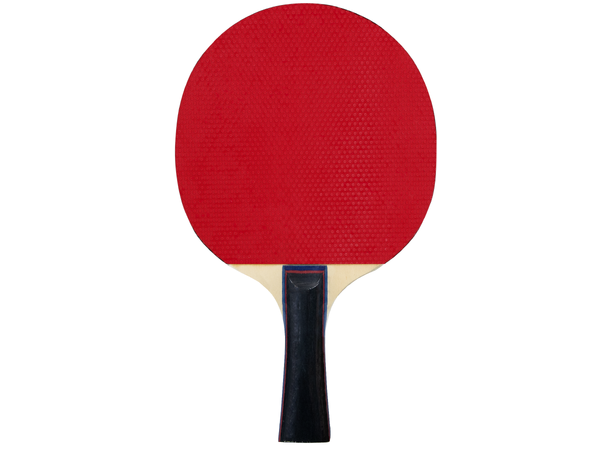 FZ Classic TT 1-star Racket Bordtennisracket - Hobby