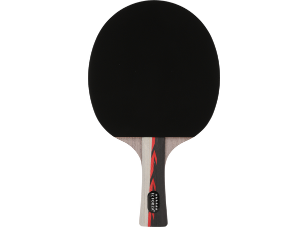 FZ Supreme TT 6-star Bordtennisracket - Viderekomne Spillere
