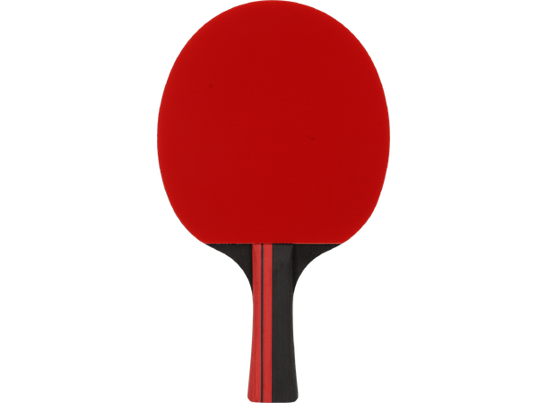 FZ Amaze TT 5-star Racket Bordtennisracket - Øvet