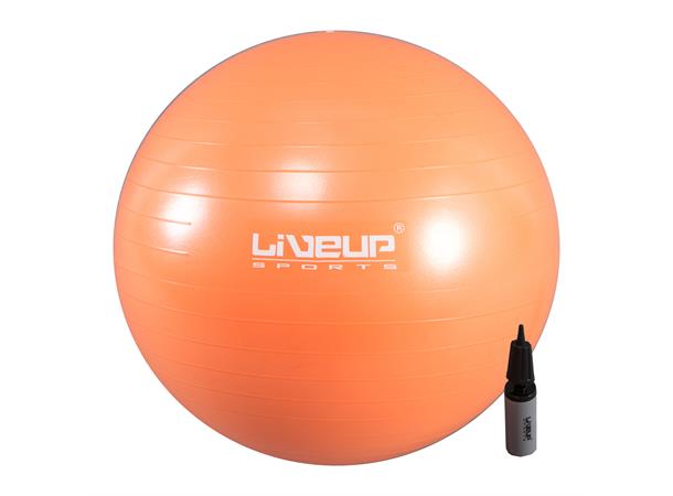 Gym Ball 65cm Treningsball med pumpe