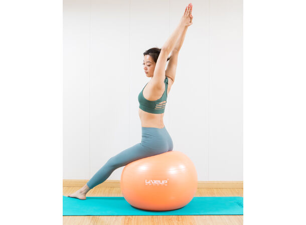 Gym Ball 65cm Treningsball med pumpe